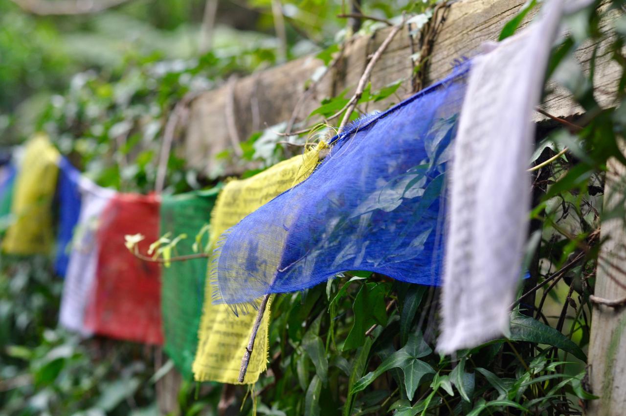 Hotel Kawai Purapura Yoga Retreat Centre Auckland Zewnętrze zdjęcie