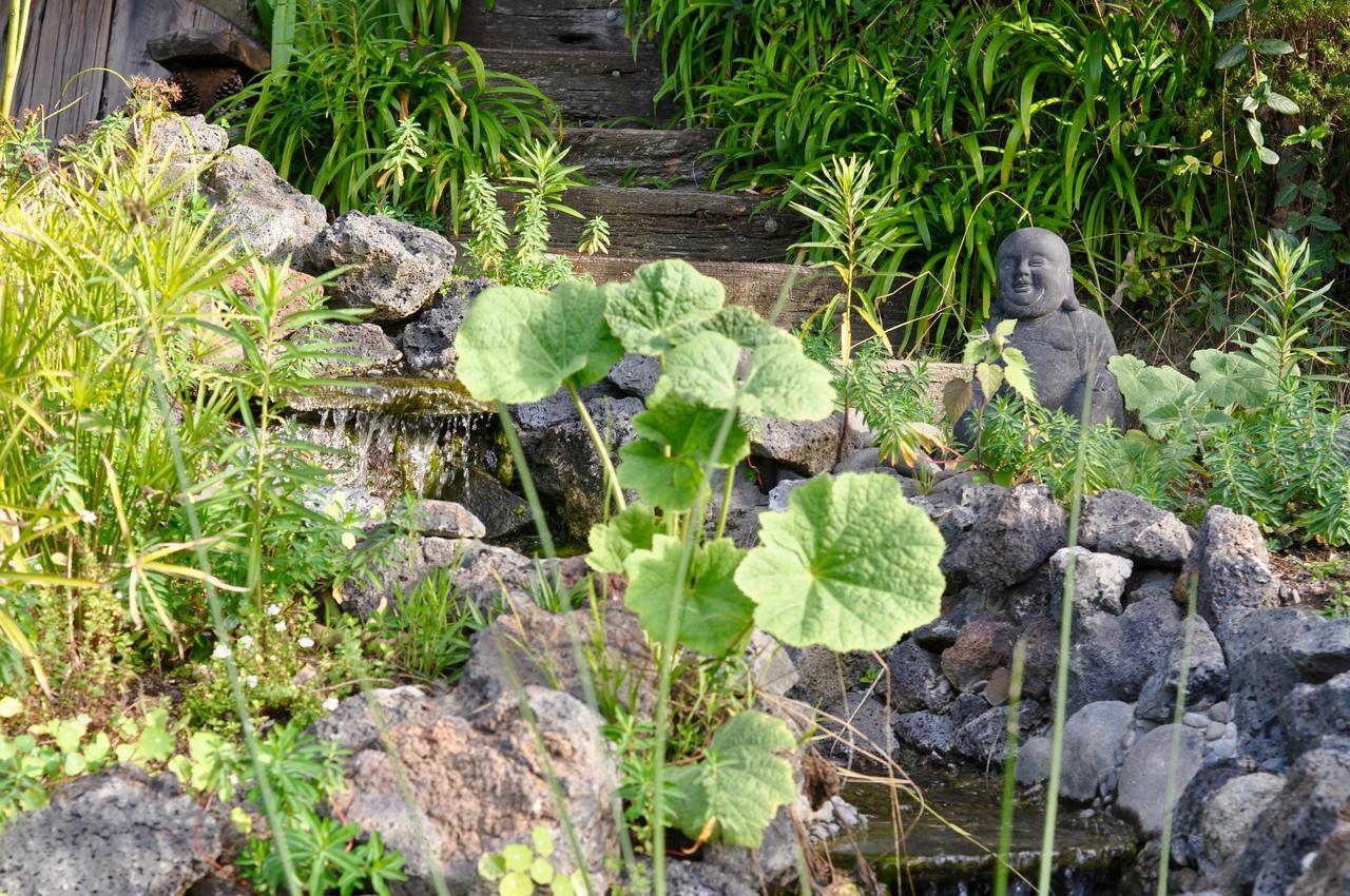 Hotel Kawai Purapura Yoga Retreat Centre Auckland Zewnętrze zdjęcie
