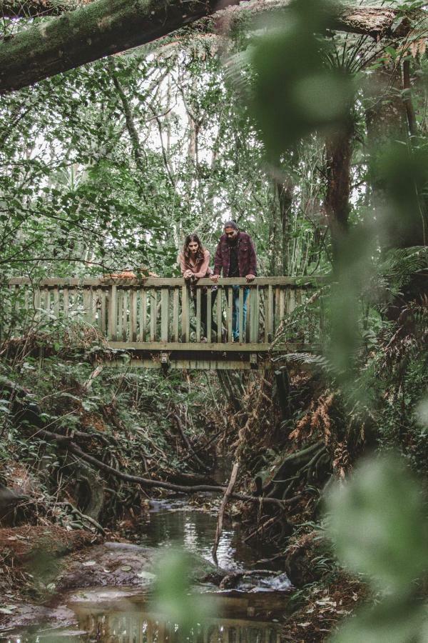 Hotel Kawai Purapura Yoga Retreat Centre Auckland Zewnętrze zdjęcie